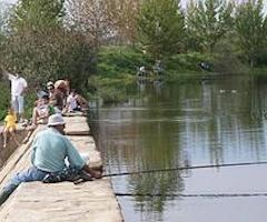 Las repoblaciones de truchas regresan al río Gévora tras su cese en 2011